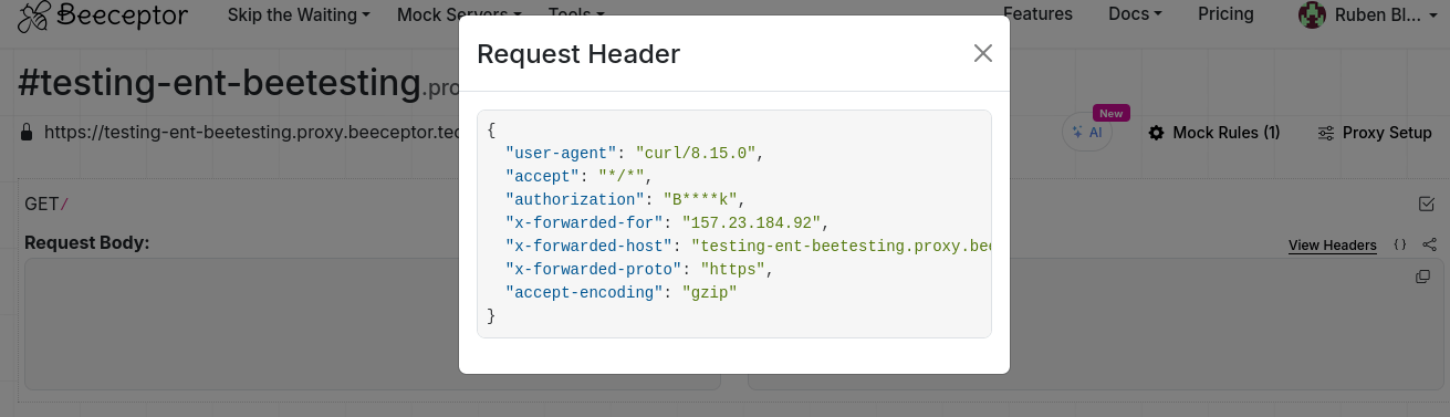 HTTP headers masked in dashboard