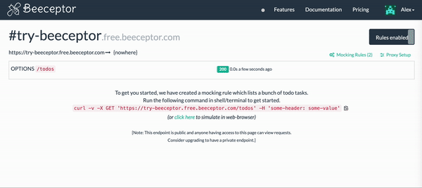 try-beeceptor-endpoint